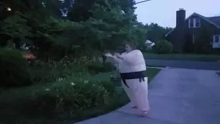 Sumo Wrestler Goes Crazy Catching Fireflies