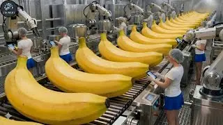 Inside a Banana Bread Factory From Fresh Fruit to Perfect Loaves (Full Process)