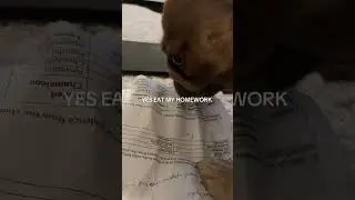 #editlyrics