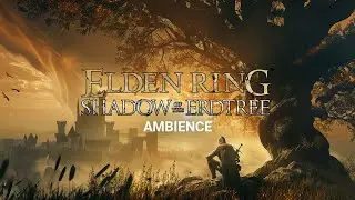 A Knight's Solitude - Elden Ring Shadow of the Erdtree Ambience 4K (Relax Study Sleep ASMR)