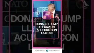 Donald Trump llega a un acuerdo con la OTAN | Reporte Indigo