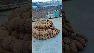 daily routine mini block channel..🤗🤗🤗