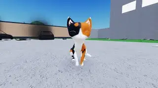 KUNCUNG 🐱 KU NAKAL 😤#roblox #kucing #videogames 