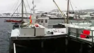 Tromvik - Havna