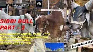 Pakistan Ke Sabse Bade Janwar Jdc Per ||JDC Qurbani For The Deserving In The Year 2025 SIBBI PART-2