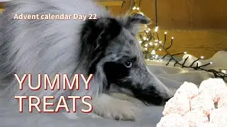 Make these yummy and easy dog treats - Sheltieellos - Shelties Dog Advent calendar #22