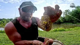 This Pack Bait Makes Carp Fishing Too Easy! | Fishing For Carp with Pack Bait
