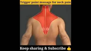 trigger point massage for neck pain #animation #bodyinsight
