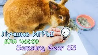 ЛУЧШИЕ ИГРЫ ДЛЯ ЧАСОВ SAMSUNG GEAR S3 (OS TIZEN). Даже КРОЛИК захотел поиграть:)