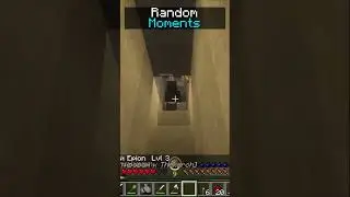 Random Moments Minecraft #minecraft #funnyshorts #shorts #майнкрафт