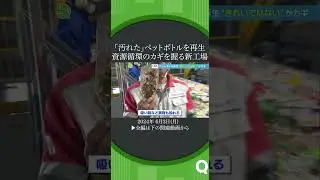 サーキュラーペット#shorts
