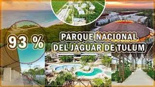 A menos de un mes de concluir el Parque Nacional del Jaguar en agosto 2024, Tulum Quintana Roo