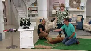 Hands On Pet Shedding Bathing & Grooming Gloves on QVC