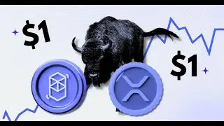 XRP, FTM, or PopCat: Which Altcoin Will Hit the $1 Mark First?