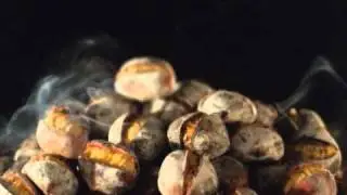 CarteDor-Castanha - Joana Manuel