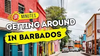 Getting Around BARBADOS In 2025 | ZR Vans - Busses - Luxury Vehicles