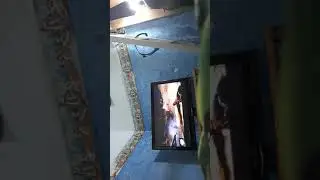 farcy4