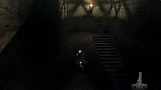 Dmc4 PMDT