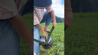 Creative and Effective Gardening Stool #farmingtools @HappyFarm85
