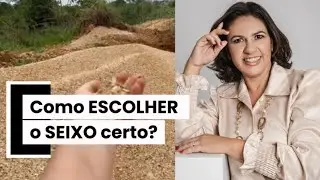 SEIXO rolado ou BRITADO? | O PAISAGISMO #seixonojardim #tecnicas #seixobritado 