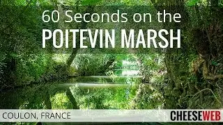 60 Seconds on the Poitevin Marsh in Coulon, France