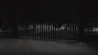 Bloodborne: Ludwig Fight Ng+ Co-op