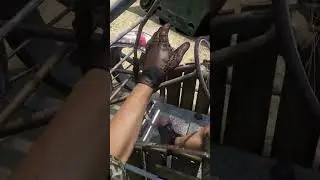 Ходячие мертвецы возвращаются!! ХОДЯЧИЕ МЕРТВЕЦЫ КАЛИФОРНИЯ | Скучающий мир | Авалон