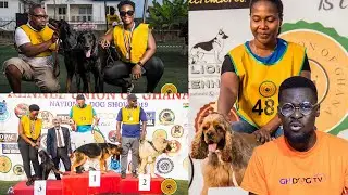 Over 160 dogs to battle out at KUG Dog Show 2021 and Highlights from 2019 Dog Show