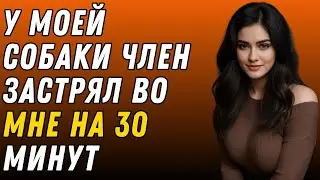 Каждый раз, когда муж уходил на работу, собака странно себя вела… И правда меня поразила