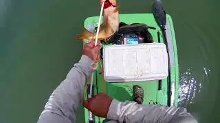 FEATHER-RAFT&reg; | Bowfishing and Bass