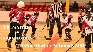U10 Panthers vs Renegades at Inline Hockey Nationals 2019 in Levin