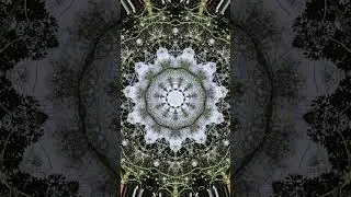 Short The Third Eye Chakra #musicacurativa #naturesounds   #chakrasystem #spiritualrise #musica #fyp