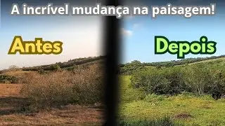 O INVERNO NO NORDESTE • A chegada do inverno no sertão | documentário | Brasil Selvagem