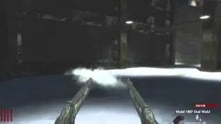 Model 1887 Sync Dual Wield - World at War