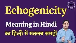 Echogenicity meaning in Hindi | Echogenicity ka matlab kya hota hai | English to hindi