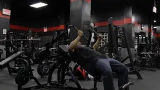 Time Chamber: Chest and Back