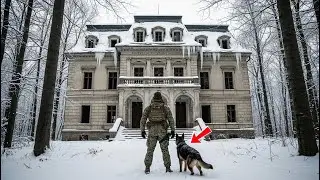Navy SEAL Rescue Dog Story &ndash; An Abandoned Mansion, a War Dog, and the Secret That Shocked a City