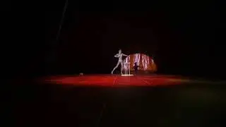 Hand Balancing Performance - Circus Rio