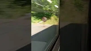 een station door op lijn 162