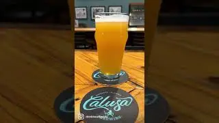 Florida Brewery Reel - Tour of Calusa Brewing in Sarasota