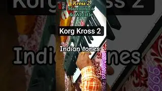Korg Kross 2 Harmonica and Whistle💫💫#keyboard #music #ytshorts #korgkross2 #shorts #trending #tones