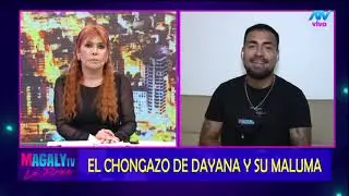 Dayanita llama 