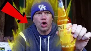 Pumpkin Pie Soda (Reed Reviews)