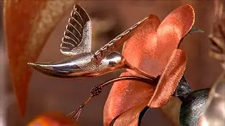 Hummingbird Art (Texas Country Reporter)