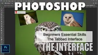 The Tabbed Interface:  Photoshop Beginners Essential Skills: