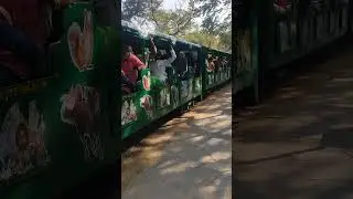 train.#safari.# Nehru park ...