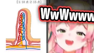 Nene Sees PP-like Image And Loses It【Hololive】