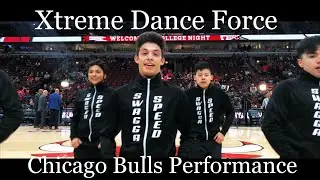 Xtreme Dance Force - Chicago Bulls - 2019