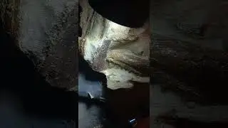 Fossil Preparation | Mosasaur Jaw
