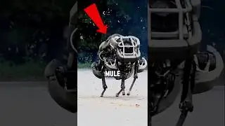 Почему американские военные ОТКАЗАЛИСЬ ОТ робота-мула? 😑 #шорты